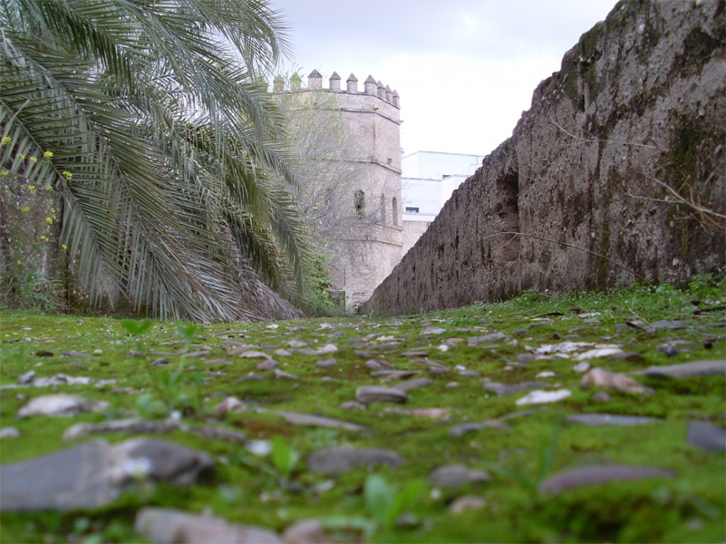 Torre_de_plata_desde_la_muralla