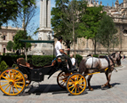 Esencia Sevilla