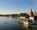 Visitar Sevilla en Grupo