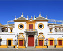 Private guided visit to the Bullring of Seville